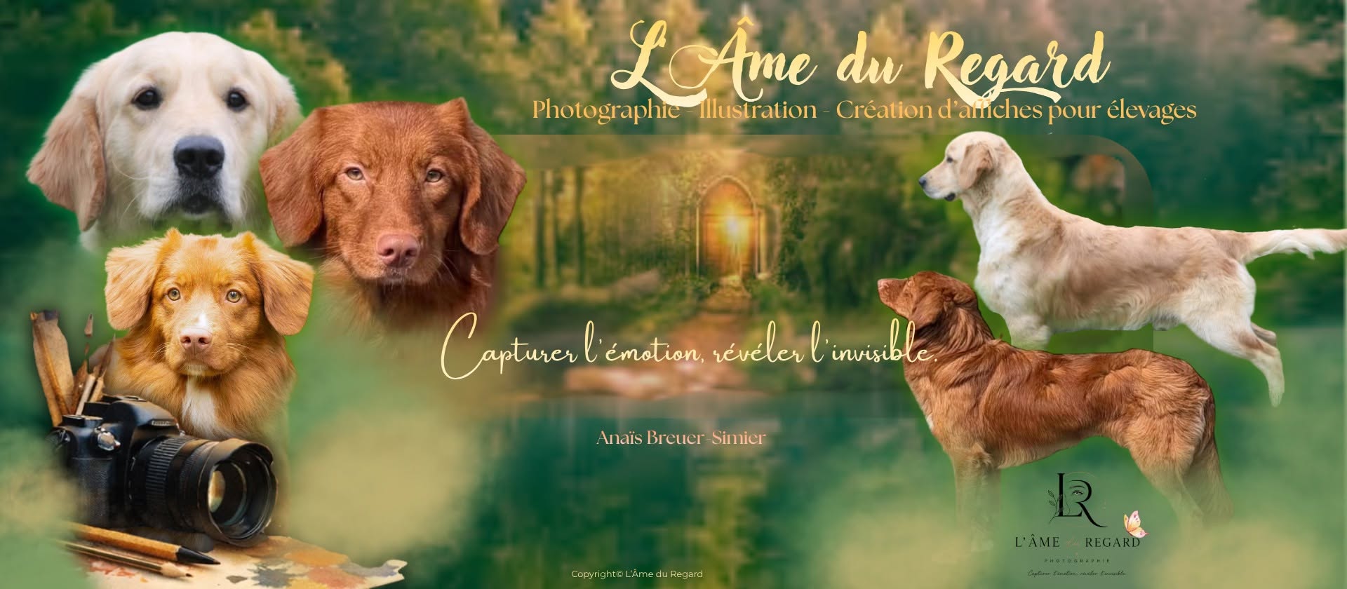 Création graphique réunissant les chiens de Red Maple Tollers